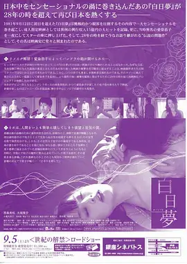 热播电视剧全集更新规律解析